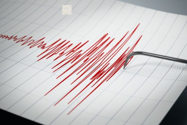activitate seismică România - Cutremure în Vrancea în noaptea de 21 spre 22 aprilie 2025: Seismul principal a avut mag...