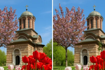 diferente atenție la detalii