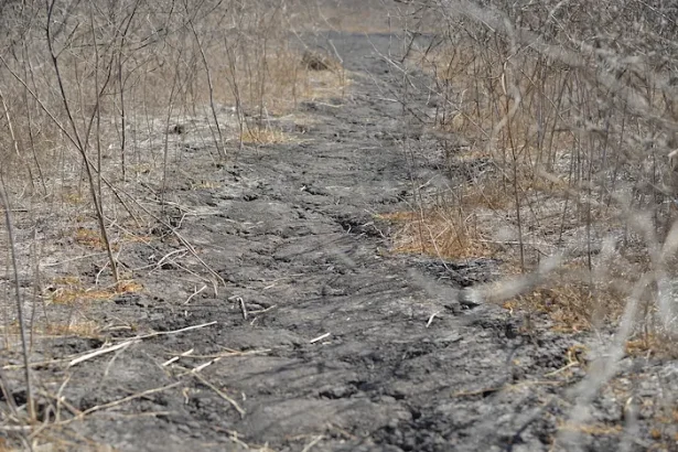 restricții apă irigații Buzău 2025 - BUZĂU. Avertisment pentru agricultori! Apele riscă să restricționeze din nou ...