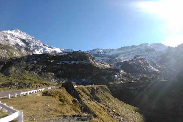 Barajul Vidraru atac urs