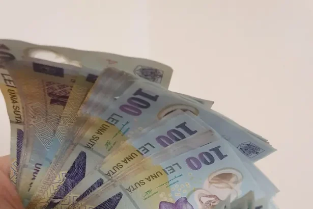 curs valutar după alegeri - Leul revine pe creștere după alegeri: Euro scade sub pragul de 5,05 lei