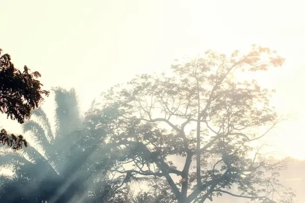 pompieri incendii Atena