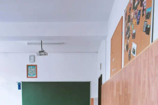 supraveghere audio-video în școli - Școlile din România, supravegheate audio-video: Ordinul care promite un mediu educ...