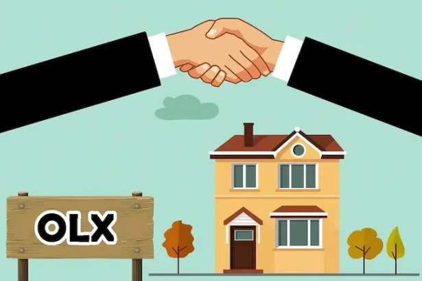 vânzare KIWI Finance - OLX renunță la KIWI Finance: brokerul românesc ajunge la Partners Financial Services