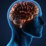 stare psihologică pozitivă și memorie sănătoasă peste 50 de ani - Descoperă secretul surprinzător pentru un creier...