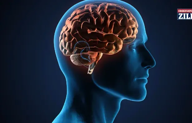 stare psihologică pozitivă și memorie sănătoasă peste 50 de ani - Descoperă secretul surprinzător pentru un creier...