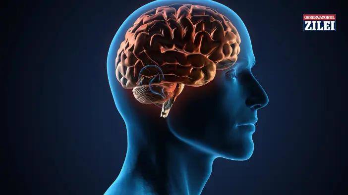 stare psihologică pozitivă și memorie sănătoasă peste 50 de ani - Descoperă secretul surprinzător pentru un creier...