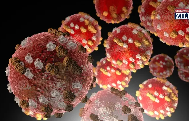 focar hepatită A Europa Centrală - Alertă sanitară lângă România: Morți și vacanțe în pericol!