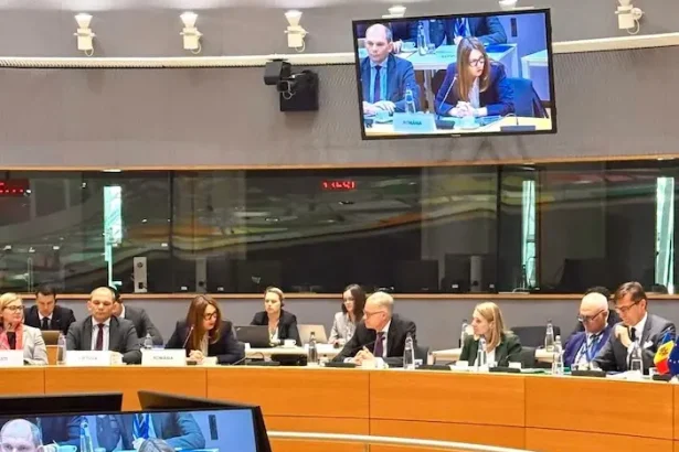 măsuri pentru protejarea imaginii României în parteneriatele MAE - MAE ia măsuri pentru a proteja reputația României...