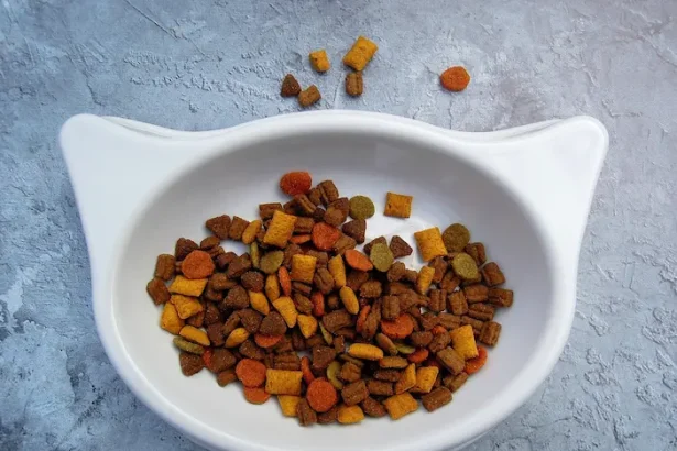 măsuri fiscale deficit bugetar România - Guvernul analizează măsuri fiscale dure: TVA mai mare pentru hrana de pisici ...