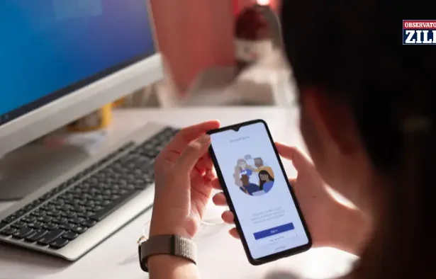 microsoft efecte vizuale