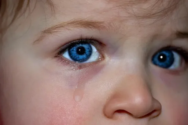 cazul copiilor legați cu sfoară la centrul social Casa Alexandra Slobozia - Scandalul legării copiilor la Casa Alexandr...