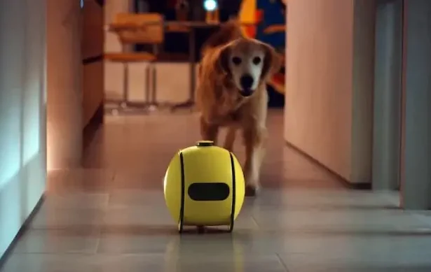 Robot Ballie roboți