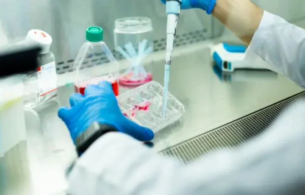 celule stem etichete: transplant celule stem