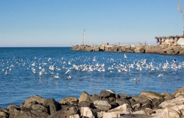 Stagiunea Estivală a Artelor Spectacolului Constanța 2025 - Constanța pregătește un sezon estival de neuitat: 80 de s...