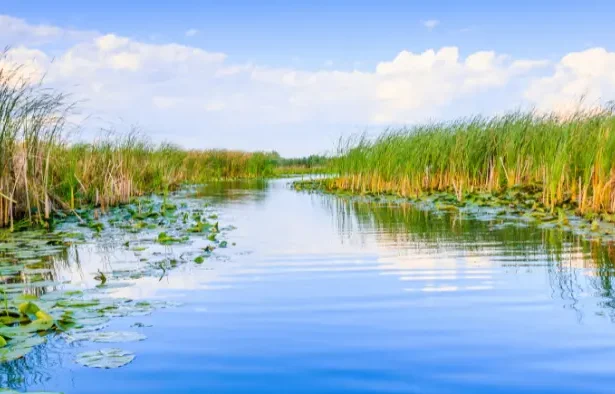 nivelul scăzut al Dunării efecte asupra economiei și pescuitului - Dunărea în scădere: Impactul devastator asupra ec...