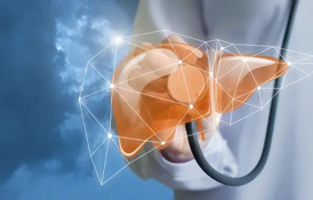 ficat boală ficat gras