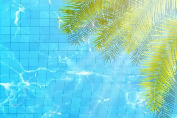 Ștrandul Codrișor închis în 15, 23 și 30 iulie - Ștrandul Codrișor își reduce programul pe 15, 23 și 30 iulie! A...