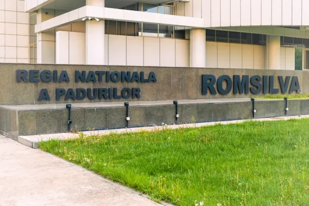 campaniile de denigrare a Romsilva trebuie să înceteze - Geană: Opriți atacurile politice împotriva Romsilva pentru b...