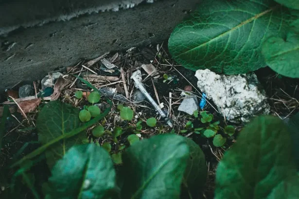 reducerea consumului de droguri în rândul minorilor - Sancțiuni inovatoare pentru combaterea consumului de droguri în ...