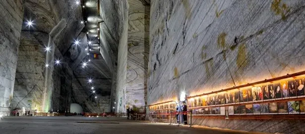 slanic Radu Miruță