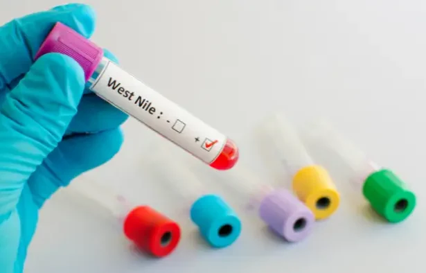virusul West Nile în județul Vrancea - Descoperiri alarmante: primele cazuri de infecție cu virusul West Nile în Vrancea