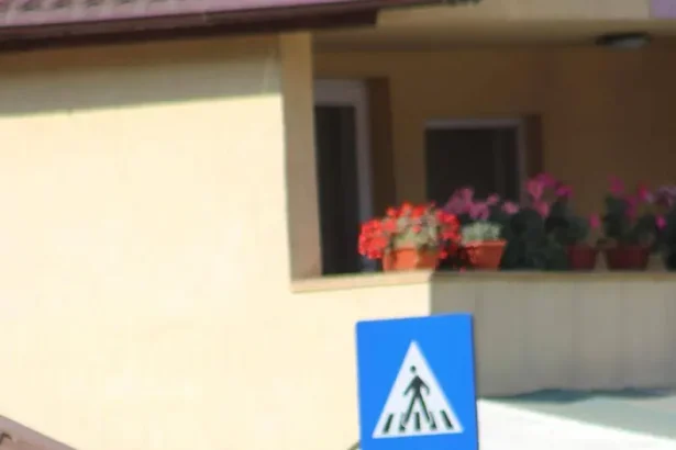 cautare copil dispărut Livezi Bacău - Fetița dispărută a fost salvată cu ajutorul a doi jandarmi eroici