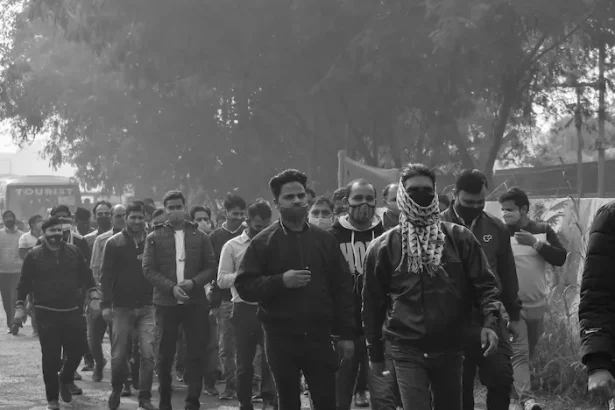 Migranti politici de imigrație