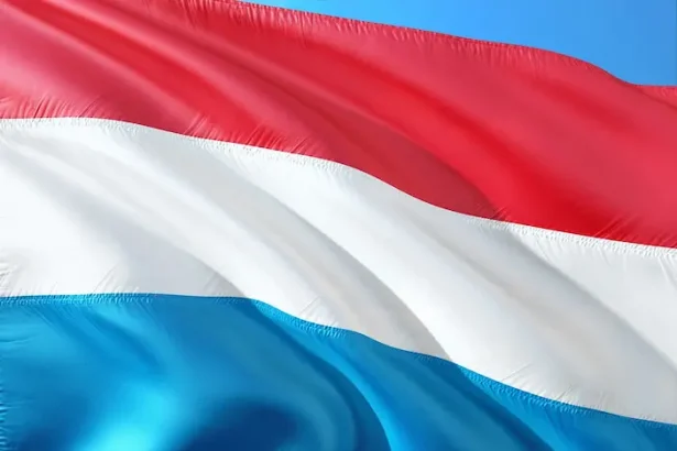 viticultura din Luxemburg în pericol - O țară mică din Europa se confruntă cu provocări unice în muncă!