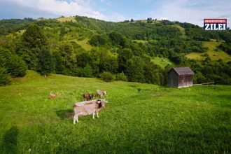 obiective turistice Maramureș - Maramureș – destinația tradițiilor autentice. 15 locuri de vizitat într-o vacanță...