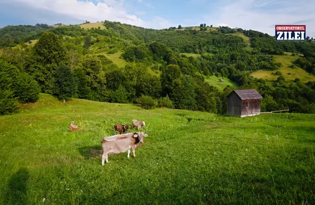 obiective turistice Maramureș - Maramureș – destinația tradițiilor autentice. 15 locuri de vizitat într-o vacanță...