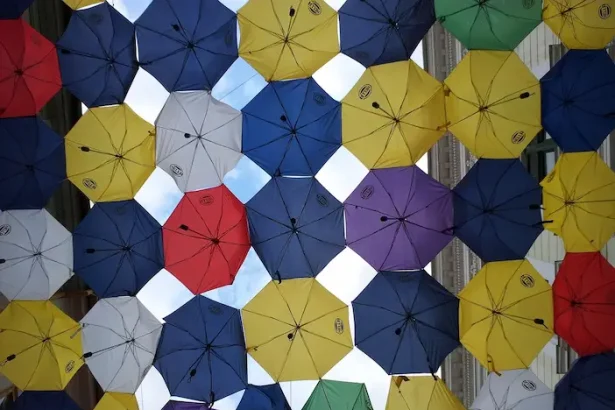 Festivalul de film documentar One World Romania 2025 - Sărbătorim Ziua Timișoarei cu scurtmetraje și dezbateri captiva...