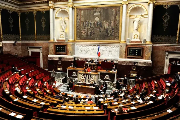 Parlament Franta François Bayrou