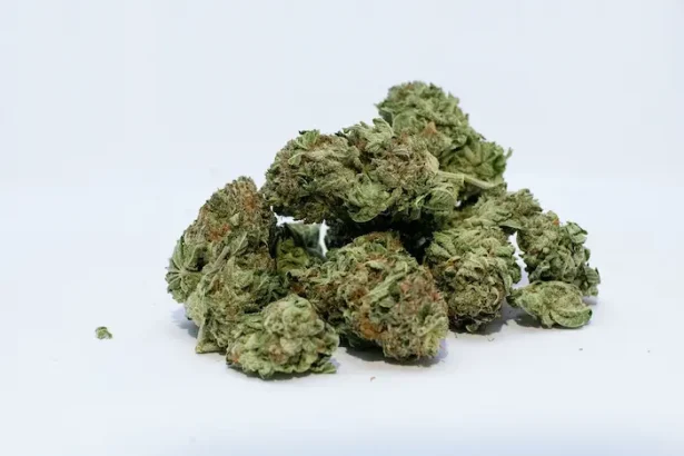 trafic de droguri Bistrița-Năsăud 2025 - Trei tineri reținuți pentru trafic de droguri: șoc în comunitate!