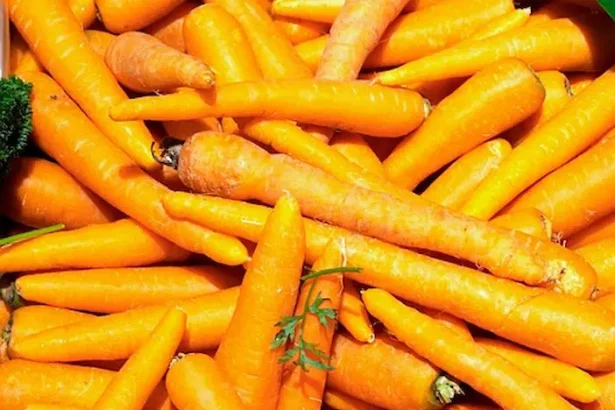 morcovi tratamente oncologice