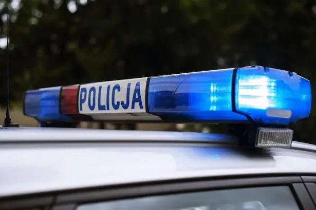 POLITIE POLONIA amenințări externe