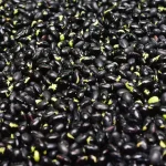 Aliment banal slăbit - Nutriționistul recomandă alimentul simplu care te ajută să slăbești natural