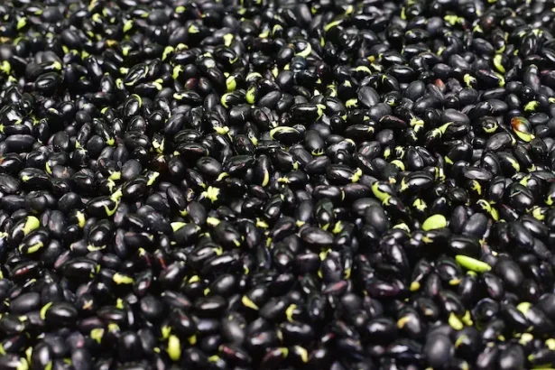 Aliment banal slăbit - Nutriționistul recomandă alimentul simplu care te ajută să slăbești natural