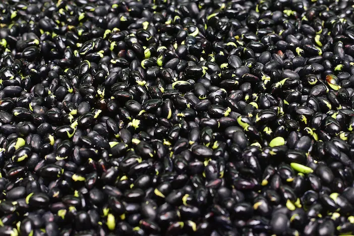 Aliment banal slăbit - Nutriționistul recomandă alimentul simplu care te ajută să slăbești natural