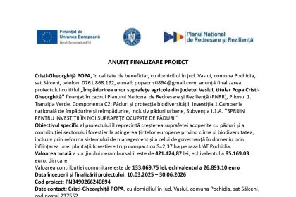 Cristi-Gheorghiță POPA - Comunicat de presă Cristi-Gheorghiță POPA