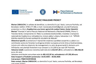 Marian ZABULICHI - Comunicat de presă Marian ZABULICHI