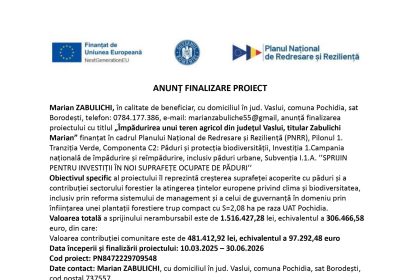 Marian ZABULICHI - Comunicat de presă Marian ZABULICHI