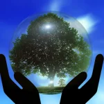 Răspuns: Politica climatică România - România își redefinește politica climatică: 10 pași spre un viitor verde!