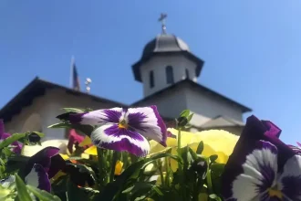 Mănăstirea Sânandrei Colonie - Emoții și spiritualitate: Vizita mitropolitului la Mănăstirea Sânandrei Colonie