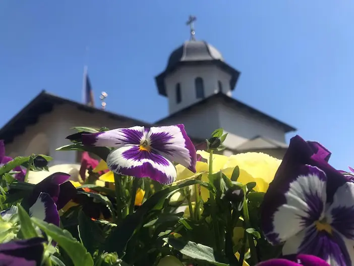 Mănăstirea Sânandrei Colonie - Emoții și spiritualitate: Vizita mitropolitului la Mănăstirea Sânandrei Colonie