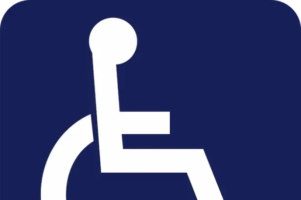 România dizabilități economie - România 2025: Excluderea persoanelor cu dizabilități din economie șochează