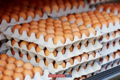 criză ouă găini - Criza ouălor în România: Cum condițiile de viață ale găinilor ne afectează