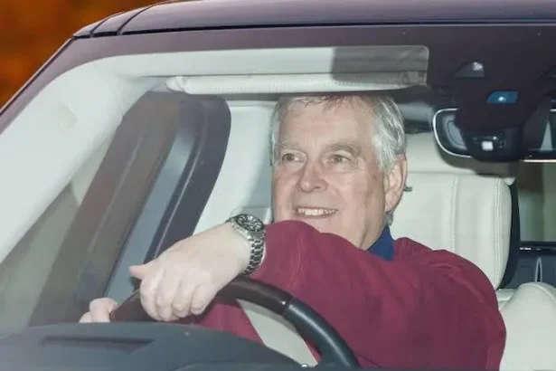 Print Andrew percheziții