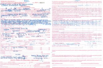 Untitled 1 MARELE PESCAR TRADE S.R.L.