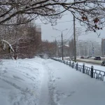 zapada ninsoare frig București